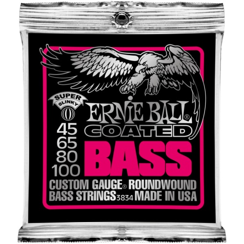 Ernie Ball 3834