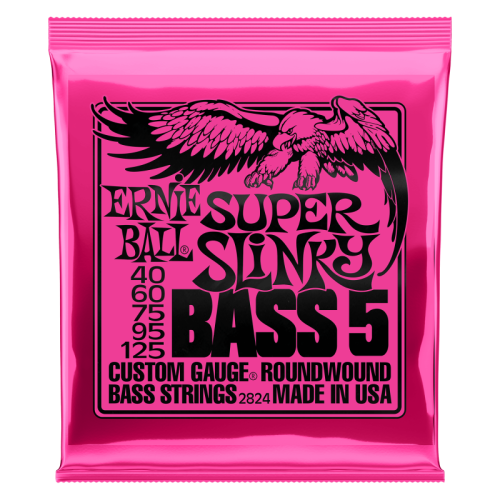 ERNIE BALL P02824