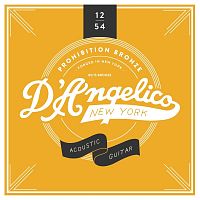 D`ANGELICO Acoustic 1254