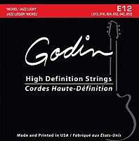 Godin 33416 E-12